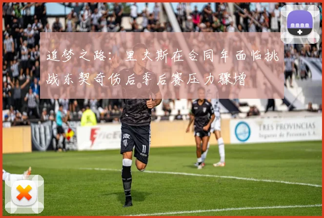 追梦之路：里夫斯在合同年面临挑战东契奇伤后季后赛压力骤增